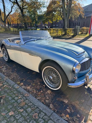 Austin Healy BN6 1958